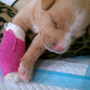 Meet your Posher, Tami